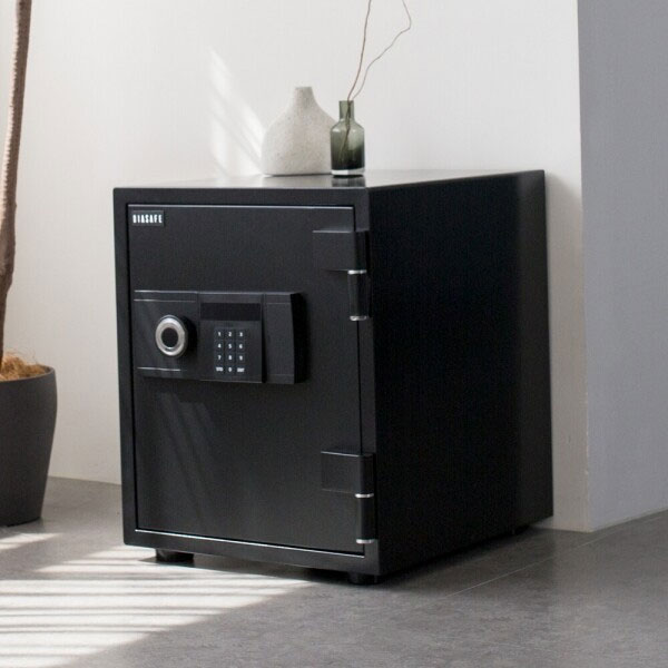 금고 (EBL-50) 68kg